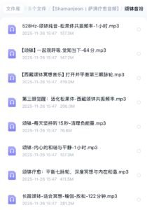 【Shamanjeon|萨满疗愈音频】(赠送32天平衡脉轮能量训练课程) 【shamanjeon|萨满疗愈音频】